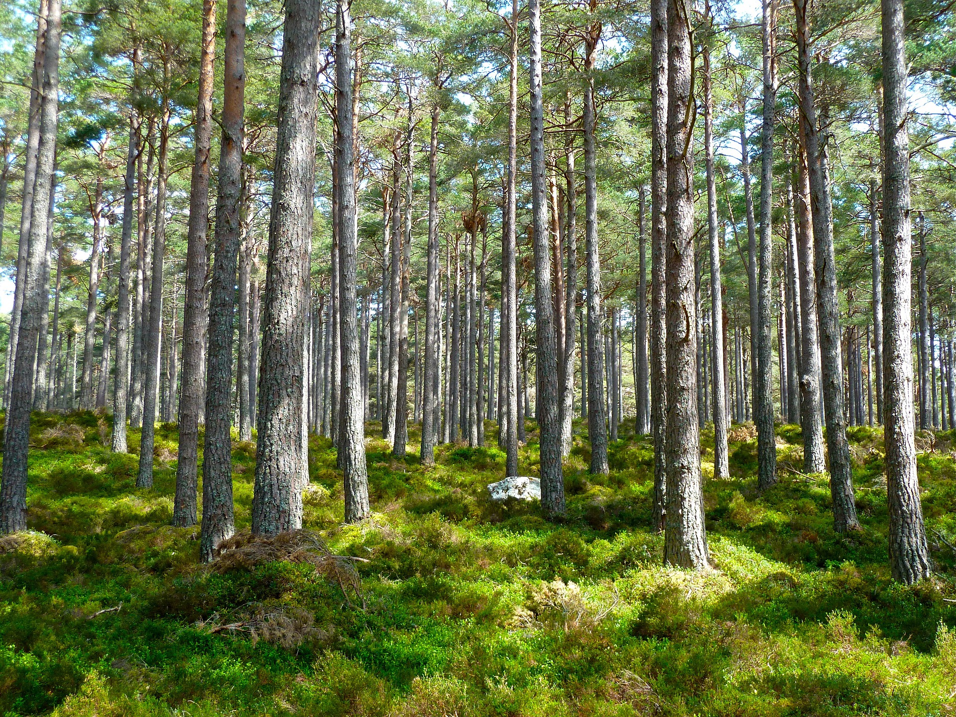 Engagement environnemental